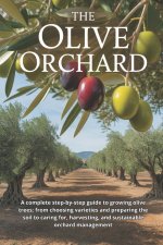 The Olive Orchard