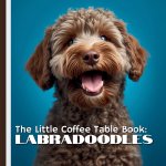 The Little Coffee Table Book