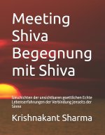 Meeting Shiva Begegnung mit Shiva