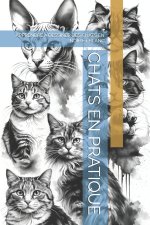 CHATS EN PRATIQUE