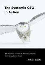 The Systemic CTO in Action