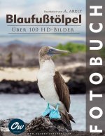 Blaufußtölpel