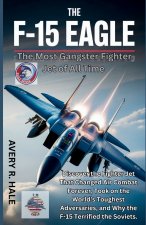 The F-15 Eagle
