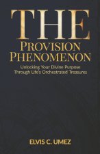 The Provision Phenomenon