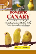 DOMESTIC CANARIES