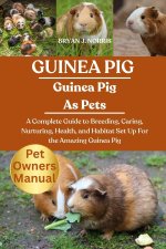 GUINEA PIG
