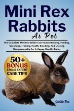 MINI REX RABBITS AS PET