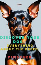 Discover your dog