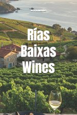 Rías Baixas Wines
