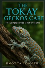 THE TOKAY GECKOS CARE