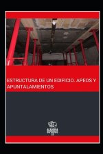 ESTRUCTURA DE UN EDIFICIO-APEOS Y APUNTALAMIENTOS
