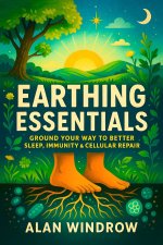 Earthing Essentials