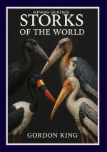 Storks Of The World