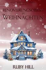 Renovierungsobjekt zu Weihnachten