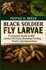 BLACK SOLDIER FLY LARVAE