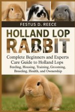 HOLLAND LOP RABBIT