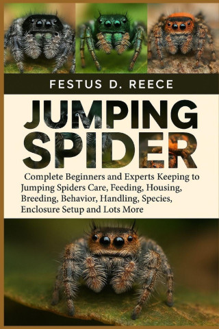 JUMPING SPIDER