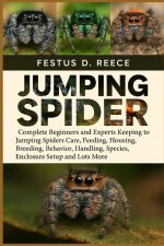 JUMPING SPIDER