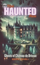 Ghosts of Château de Brissac