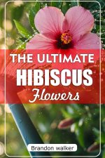 The Ultimate Hibiscus Flower