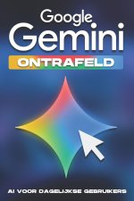 Google Gemini ontrafeld