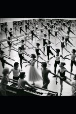 Les Ombres du Corps