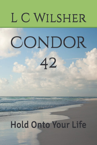 Condor 42