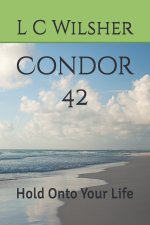 Condor 42