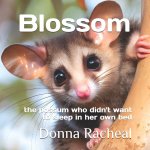 Blossom