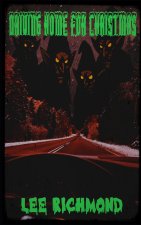 Driving home For Christmas