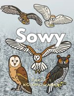 Sowy