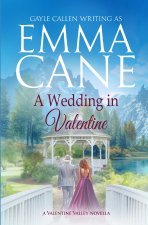A Wedding in Valentine