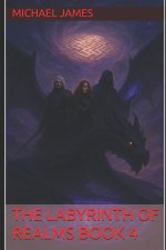 The Labyrinth Of Realms Book 4