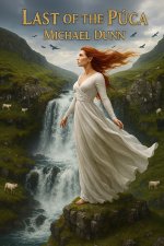 The Last of the Púca