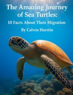 The Amazing Journey of Sea Turtles