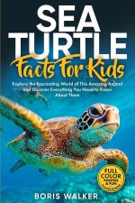 Sea Turtle Facts for Kids