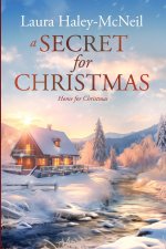 A Secret for Christmas