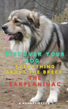 Discover your dog