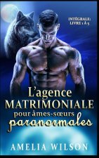 L'agence matrimoniale pour âmes-sœurs paranormales