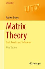 Matrix Theory