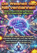 Die Weisheit der Nervenbahnen: Warum echte Brainhacks mit Achtsamkeit beginnen