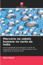 Mercúrio no cabelo humano no norte da Índia
