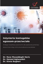 Inzynieria koniugatów egzosom-przeciwcialo