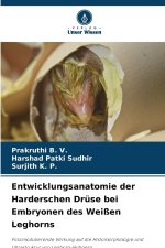 Entwicklungsanatomie der Harderschen Drüse bei Embryonen des Weißen Leghorns