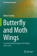 Butterfly and Moth Wings