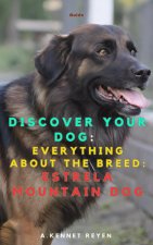 Discover your dog
