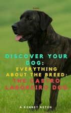 Discover your dog