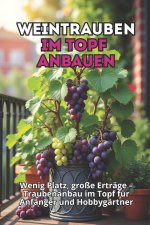 Weintrauben im Topf anbauen