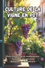 Culture de la vigne en pot