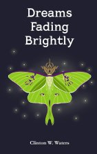 Dreams Fading Brightly